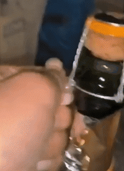 Acid Gifdump, January 20 (25 gifs)