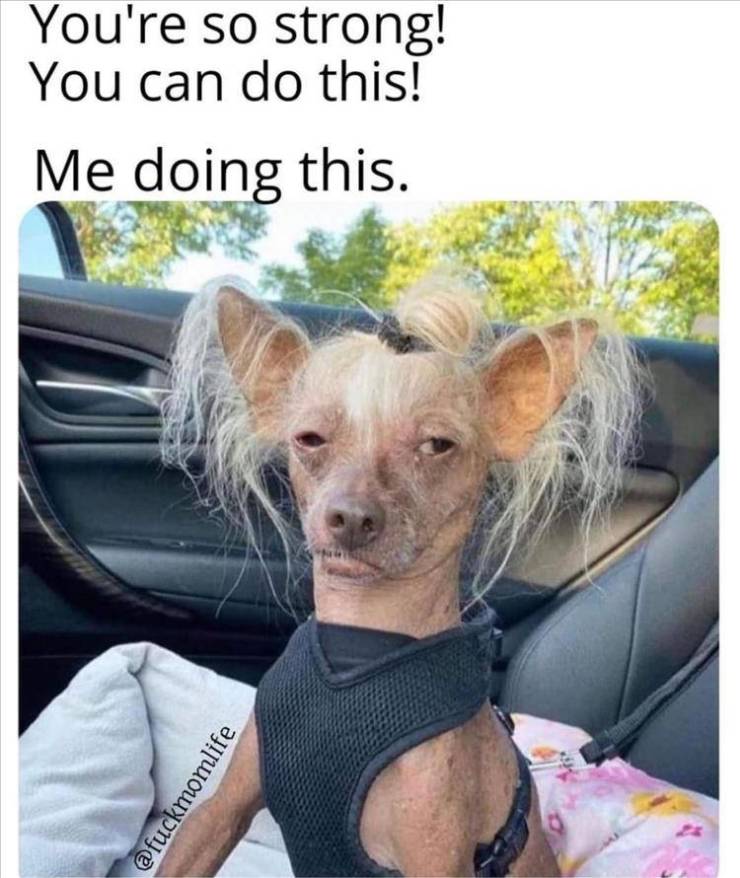 Daily Picdump. Part 2 (82 pics)