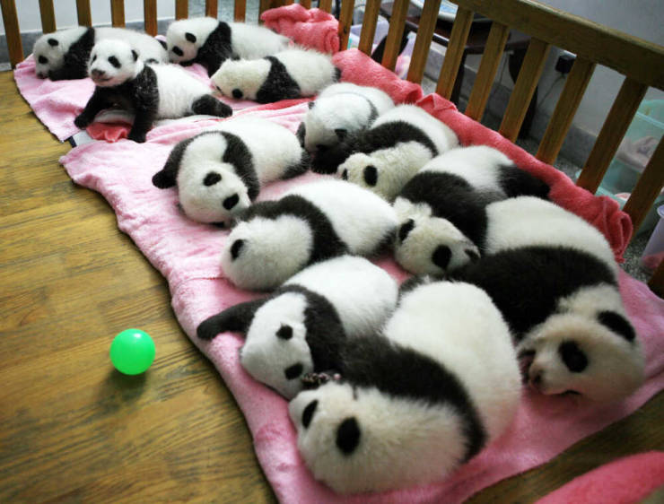 Daily Picdump. Part 2 (82 pics)