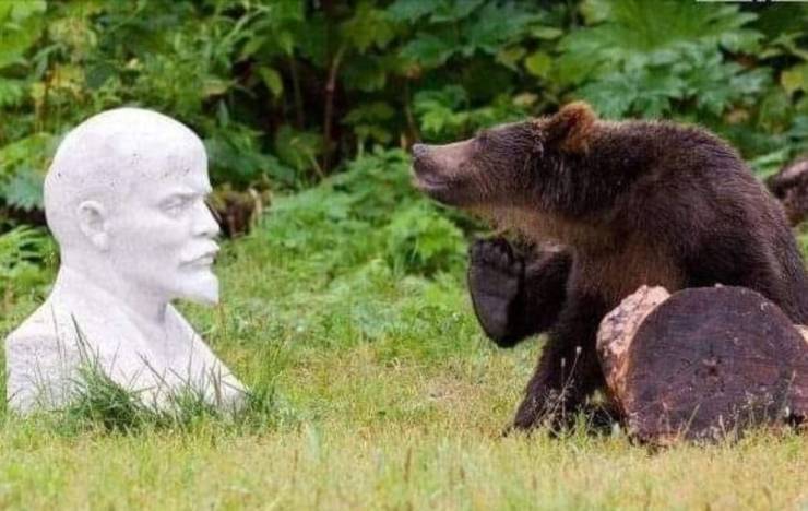 Daily Picdump. Part 2 (82 pics)