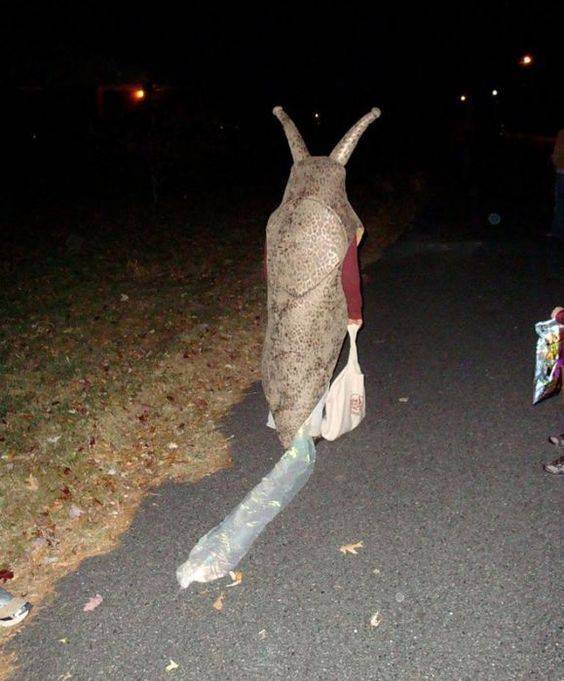 Daily Picdump. Part 2 (82 pics)