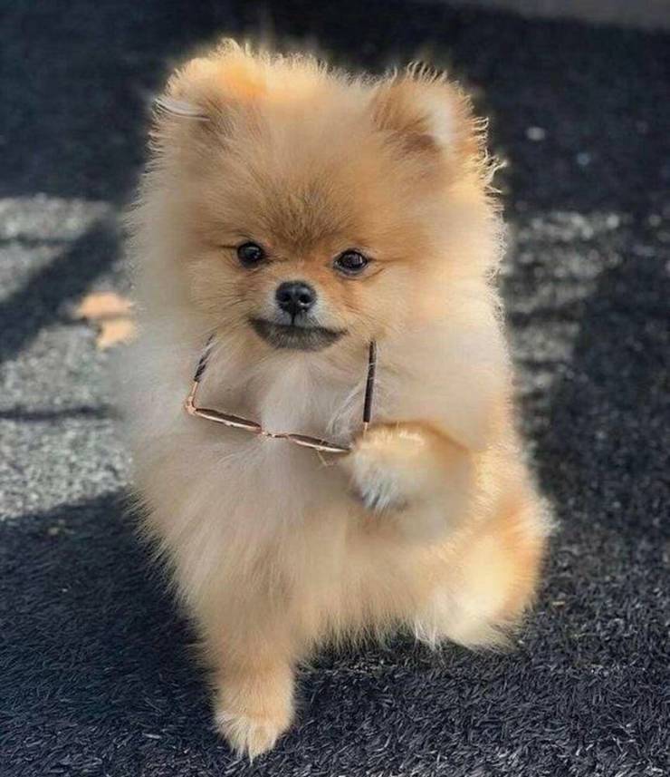 Daily Picdump. Part 2 (82 pics)