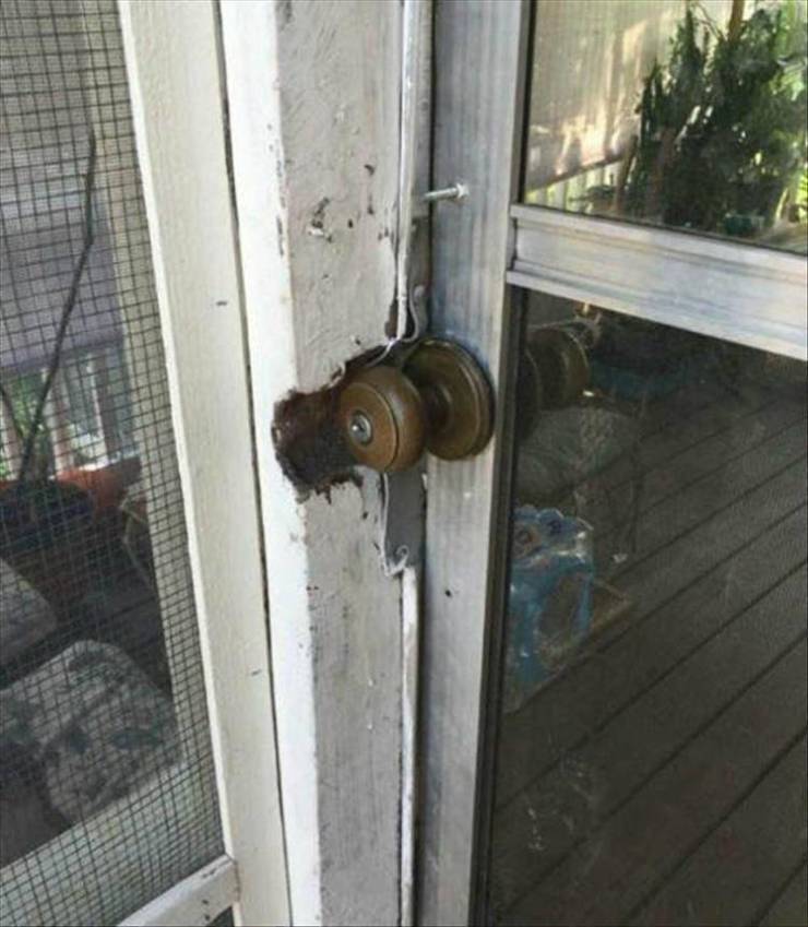 Daily Picdump. Part 2 (82 pics)