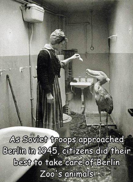 Daily Picdump. Part 2 (82 pics)