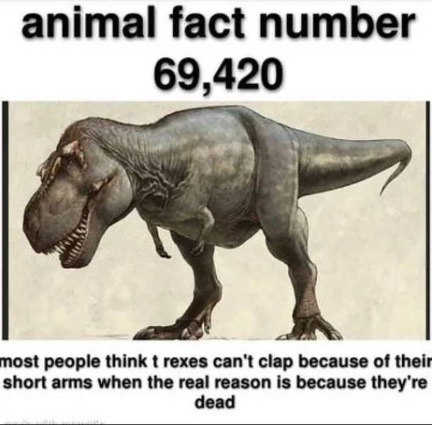 Daily Picdump. Part 2 (82 pics)
