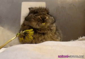 Acid GIFs, January 21 (25 gifs)