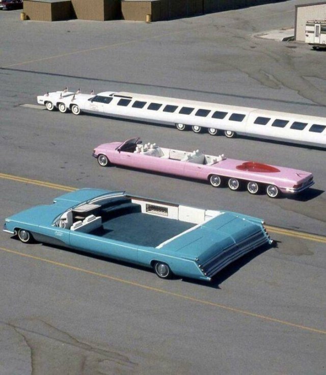 OMG Pictures (39 pics)