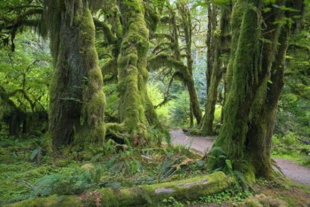 Unusual Places In USA (18 pics) Unusual Places In USA (18 pics)