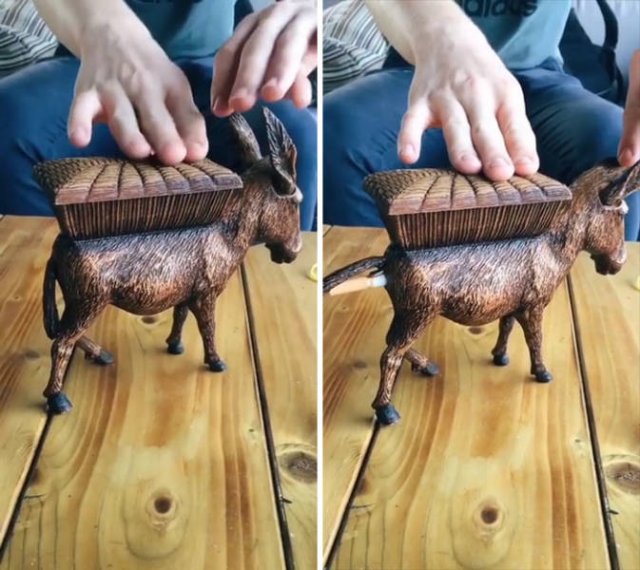 OMG Pictures (39 pics)