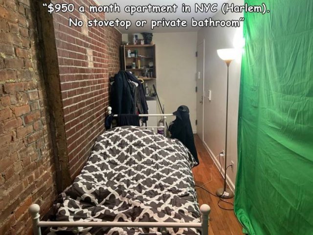 Daily Pictures. Part 1 (85 pics)