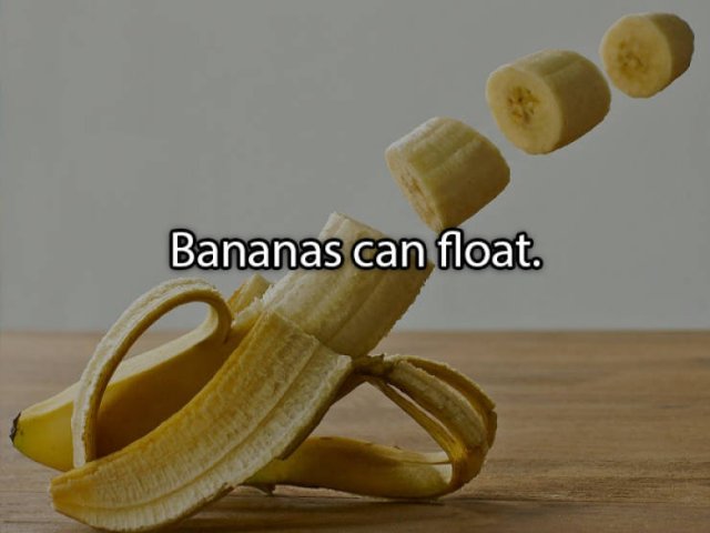 Food Facts (26 pics)