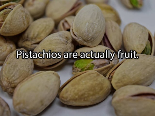 Food Facts (26 pics)