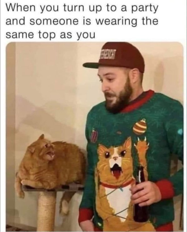 Hilarious Cats (39 pics)