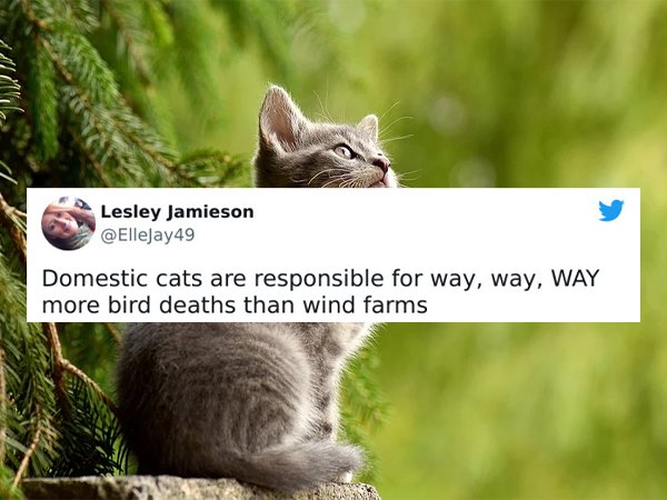 Science Facts (24 pics)