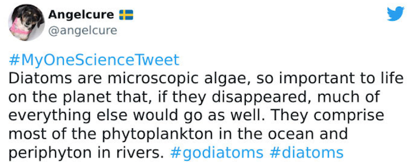 Science Facts (24 pics)