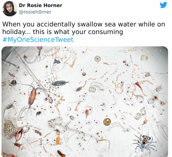 Science Facts (24 pics)