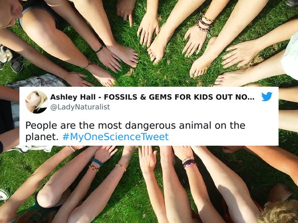 Science Facts (24 pics)