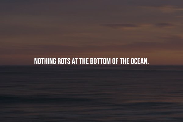 Curious Facts (17 pics)