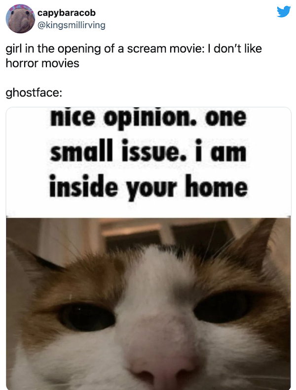 'Scream' Movie Memes (22 pics)