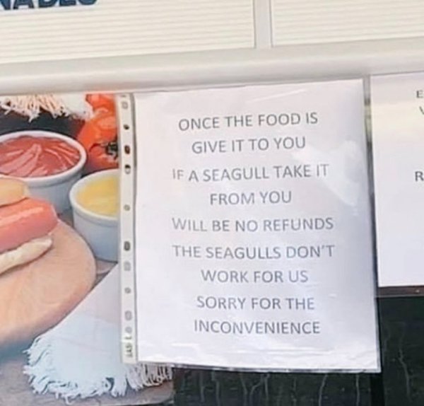 Translation Went Wrong (23 pics)