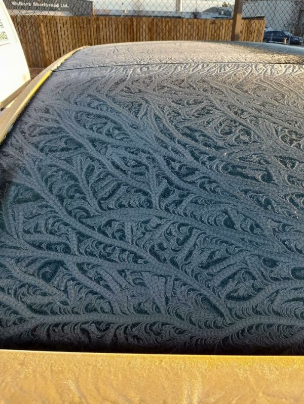 It's Very Cold (32 pics)