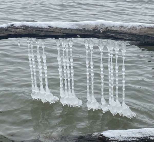 It's Very Cold (32 pics)