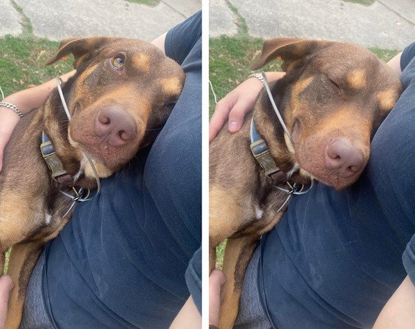 Wholesome Stories (19 pics) Wholesome Stories (19 pics)