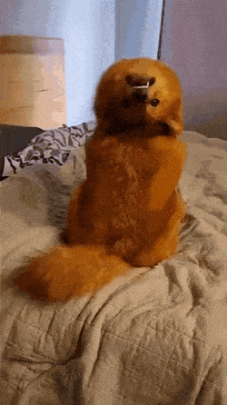 Acid GIFs, January 25 (25 gifs)