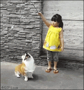 Acid GIFs, January 25 (25 gifs)