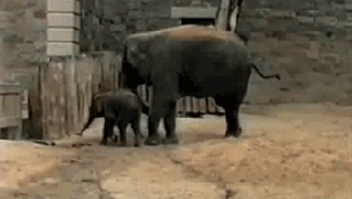 Acid GIFs, January 25 (25 gifs)