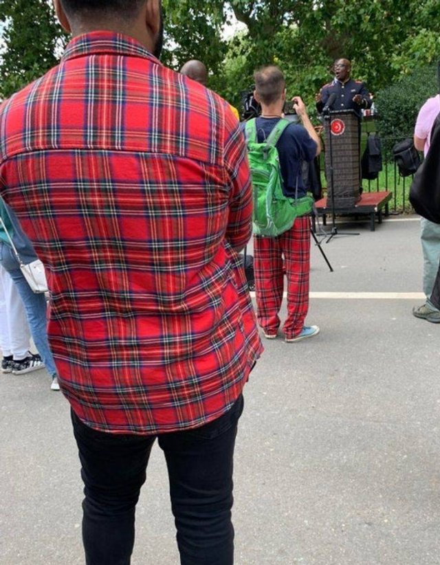 Accidental Camouflage (34 pics)