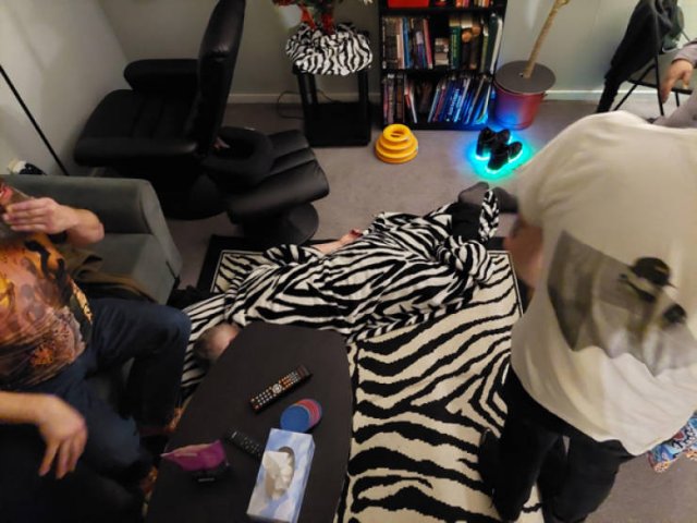 Accidental Camouflage (34 pics)
