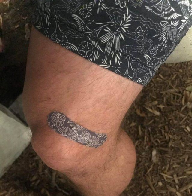 Accidental Camouflage (34 pics)