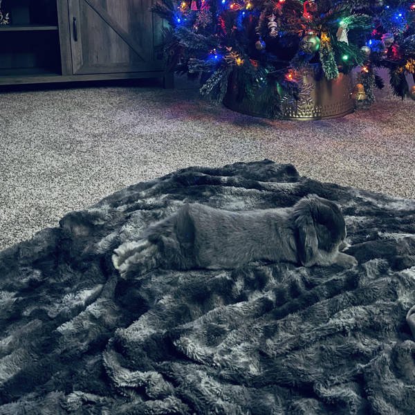 Accidental Camouflage (34 pics)