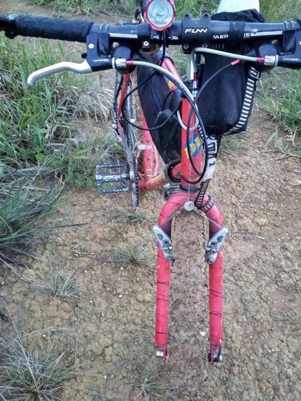 Accidental Camouflage (34 pics)