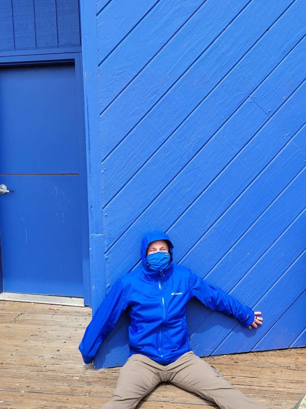 Accidental Camouflage (34 pics)