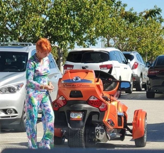 Accidental Camouflage (34 pics)