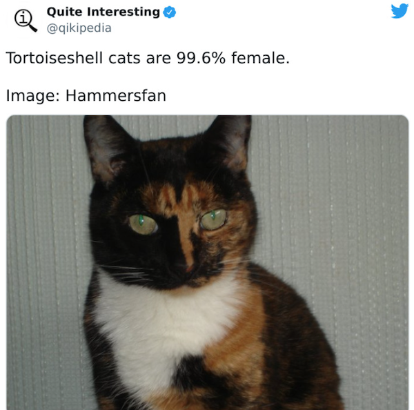 Curious Facts (25 pics)
