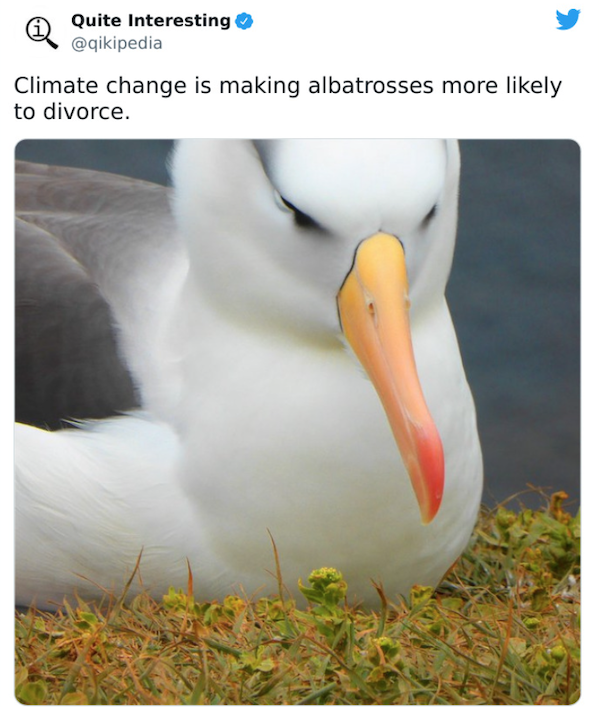 Curious Facts (25 pics)