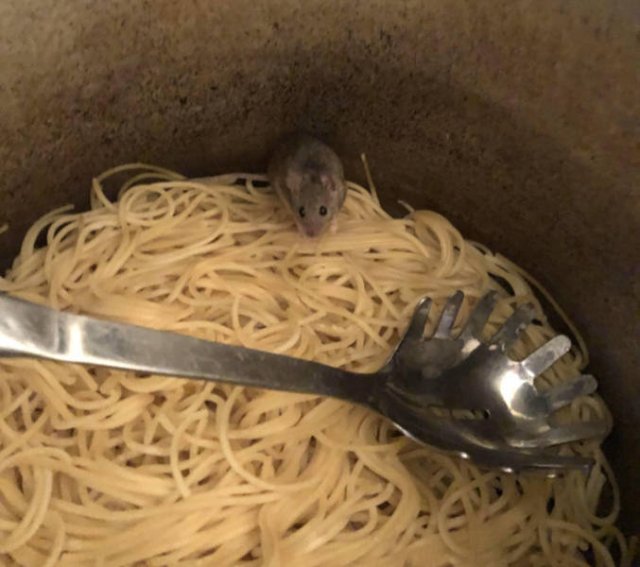 Bad Days Happen (49 pics) Bad Days Happen (49 pics)