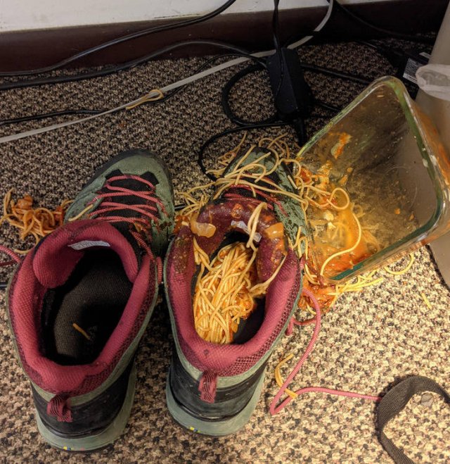 Bad Days Happen (49 pics)