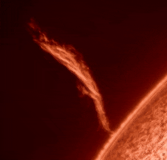 Wow GIFs (24 gifs)