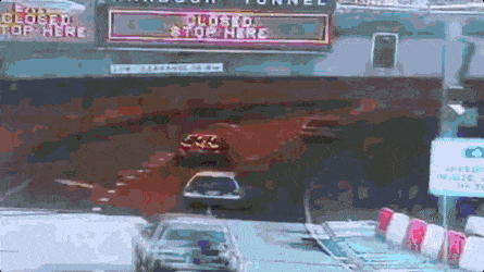 Wow GIFs (24 gifs)