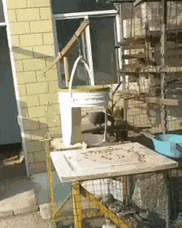 Wow GIFs (24 gifs)