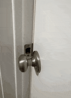 Wow GIFs (24 gifs)