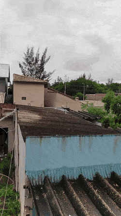 Wow GIFs (24 gifs)