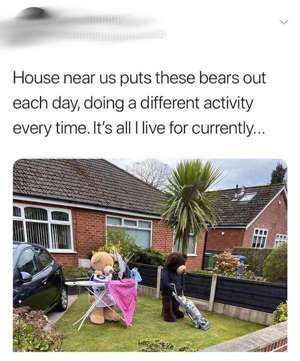 Daily Pictures. Part 2 (84 pics)