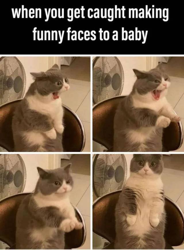 Daily Pictures. Part 2 (84 pics)