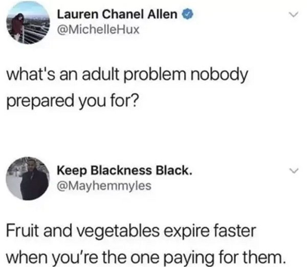 Adulthood Tweets (25 pics)