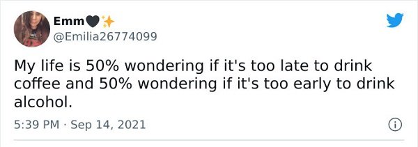 Adulthood Tweets (25 pics)